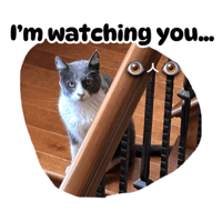 sticker image #17
