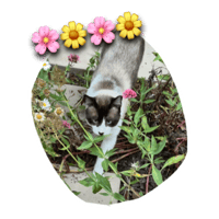sticker image #18