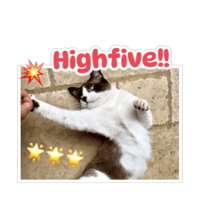 sticker image #19