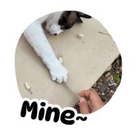 sticker image #20