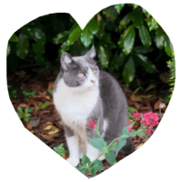 sticker image #25