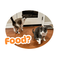 sticker image #26
