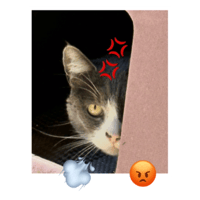 sticker image #27