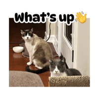 sticker image #28