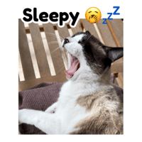 sticker image #3