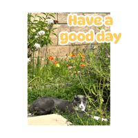 sticker image #30
