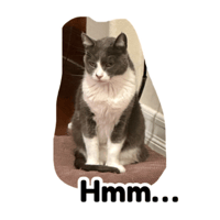 sticker image #4