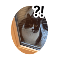 sticker image #6