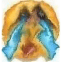 sticker image #11