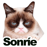 Grumpy Cat Sticker - Grumpy Cat Angry - Discover & Share GIFs