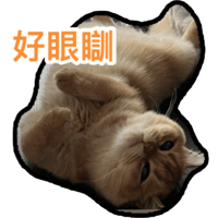 sticker image #17