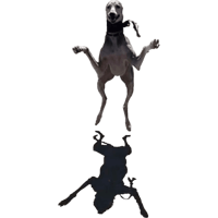 sticker image #8
