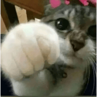 sticker image #21