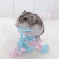sticker image #16