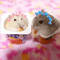 sticker image #21