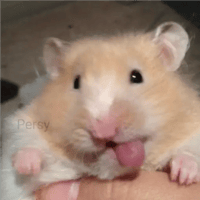 sticker image #22