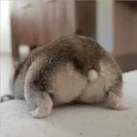 sticker image #28