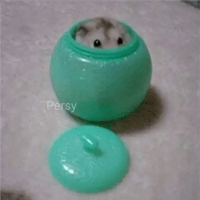 sticker image #8