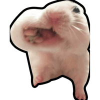 Sticker Maker Hamsters Memes Sticker Maker Hamsters Memes