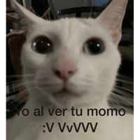 sticker image #3