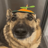 sticker image #2