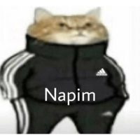 sticker image #24