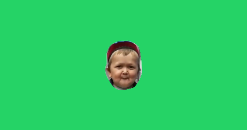 Sticker Maker - Hasbulla