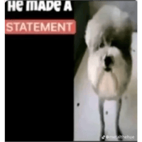 sticker image #1