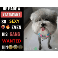 sticker image #16