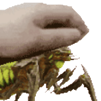 sticker image #10