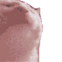 sticker image #1