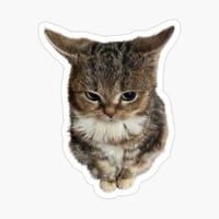 sticker image #3
