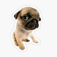 sticker image #4