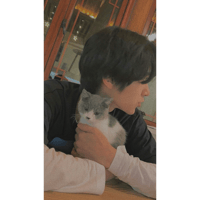 tray_icon