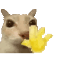 sticker image #2