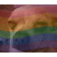 sticker image #1