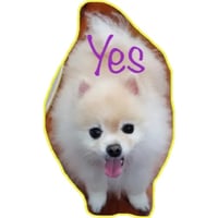 sticker image #7