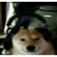sticker image #4
