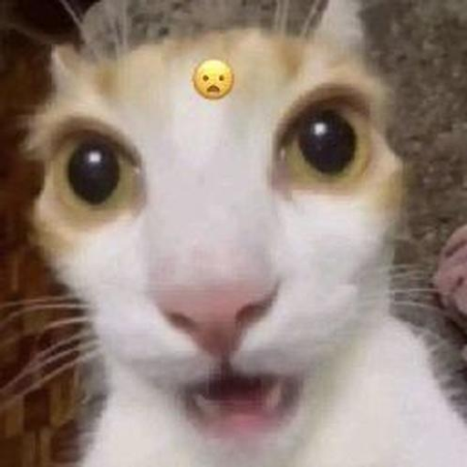 tray_icon #126778 sticker_pack