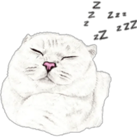 sticker image #3