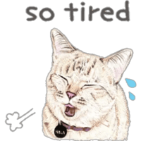 sticker image #4