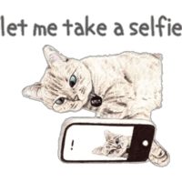 sticker image #9