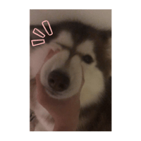 sticker image #11