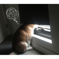 sticker image #16