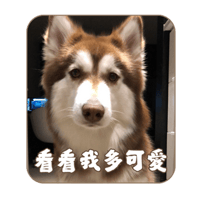sticker image #17