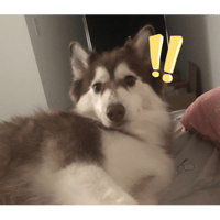 sticker image #18