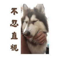 sticker image #19