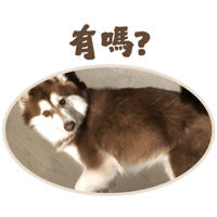 sticker image #2