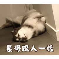sticker image #24