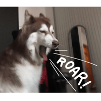 sticker image #3